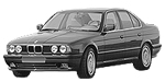 BMW E34 P0225 Fault Code
